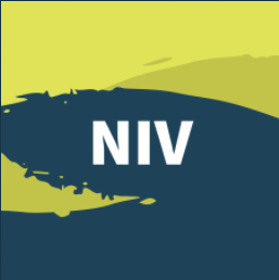NIVBSP.png