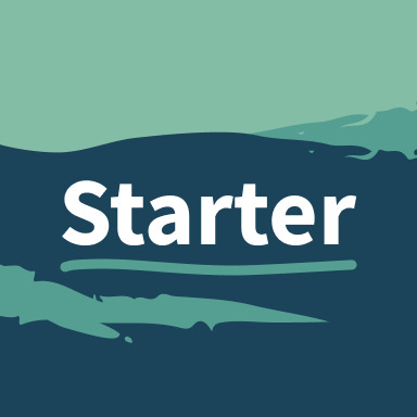 Starter.jpg