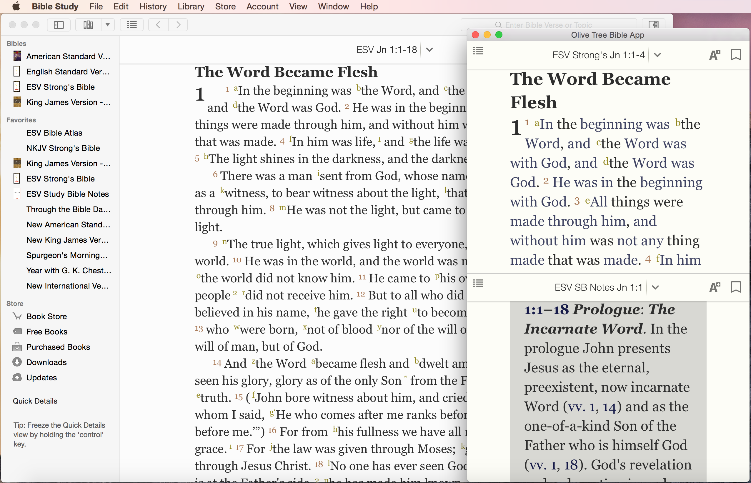 the word bible software for mac